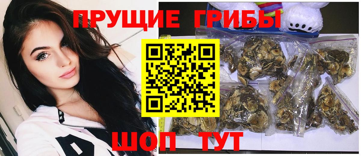 Псилоцибиновые грибы мухоморы Осинники